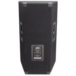 Peavey PV 115 2-Way 15" Passive Speaker - Image 2