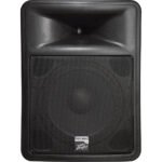 Peavey PR 15D 2-Way Powered PA Speaker