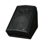 Wharfedale Pro DVP-X15M Passive Floor Monitor