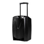 Proel V12FREE All-in-one Battery-Powered 12" Portable Speaker - Image 5